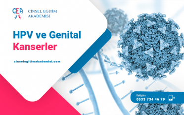 HPV (HUMAN PAPİLLOMA VİRÜS) VE GENİTAL KANSERLER